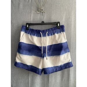 American Eagle Men's Blue & White Striped Swim Trunks - Size Small - 5" Inseam